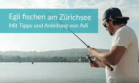 Fischen für Anfänger: Mit den Tipps und der Anleitung von easylearn gelingt das Egli fangen am Zürichsee 
